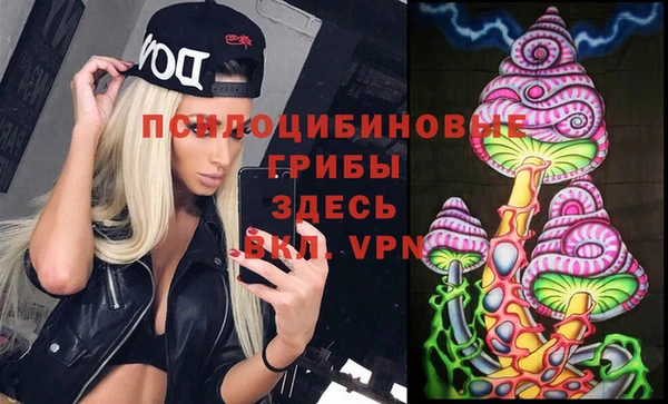 МДПВ Богданович